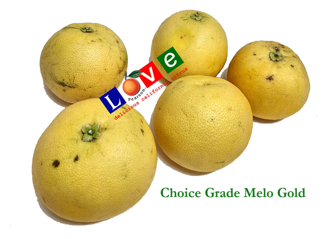 Melo Gold Grapefruit CHOICE Grade (Full Order)