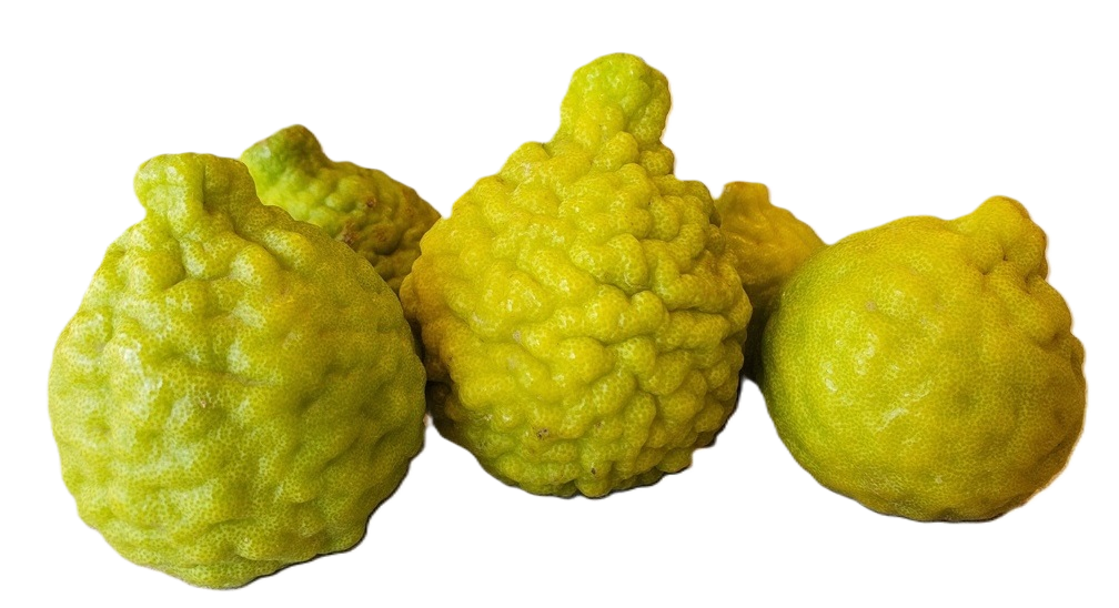 Kaffir/Makrut Limes - 1 Pound