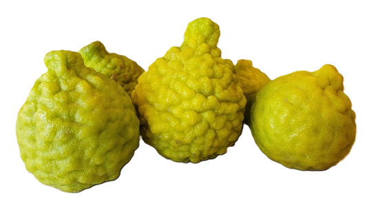 Kaffir/Makrut Limes - 1 Pound