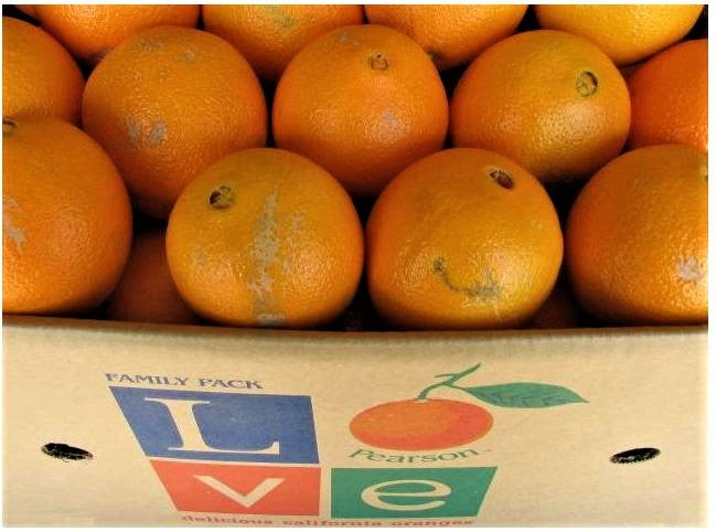 Love® Choice Oranges - 10 Pounds