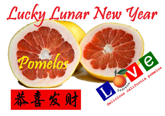 Lucky Chinese/Lunar New Year Pomelos