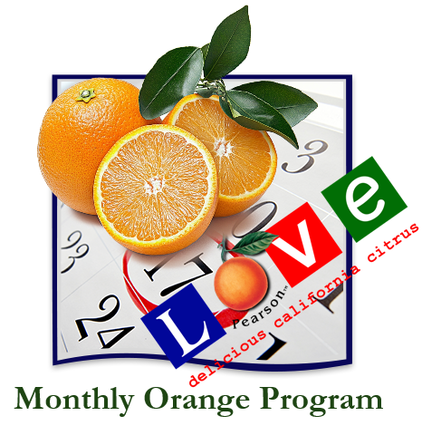 Monthly Orange Delivery - 20 Pounds