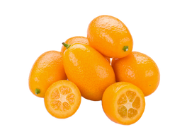 Nagami Kumquats - 5 Pounds