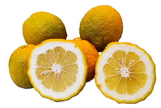 Seville Oranges - 5 Pounds