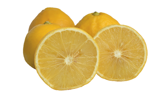 Bergamot Sour Oranges - 5 Pounds