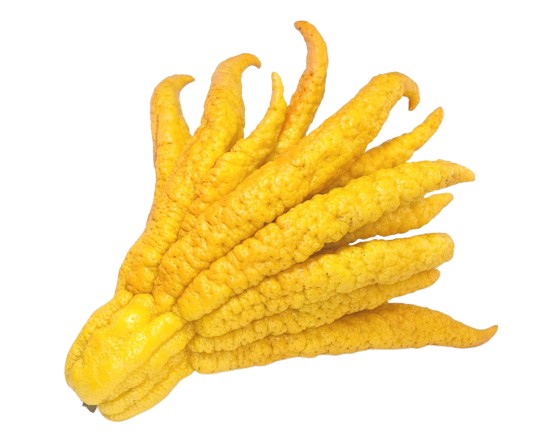 Buddha Hand Citron