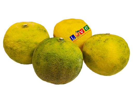 Yuzu - 1 Pound (2-5 ct.)