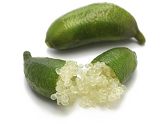 Finger Limes - 1 Pound (16 oz.)