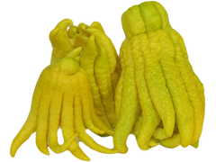 Buddha Hand Citron