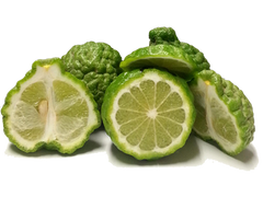 Kaffir/Makrut Limes - 5 Pounds