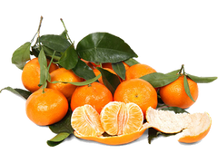 Mandarins - 5 Pounds