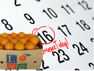 Monthly Juice Oranges - 20 Pounds