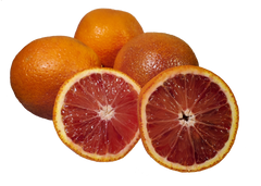 Moro Blood Oranges - 5 Pounds