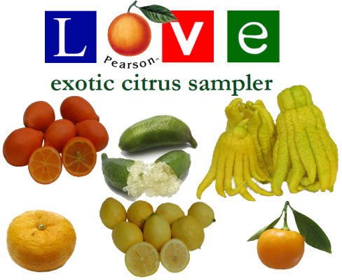 Exotic Citrus Sampler