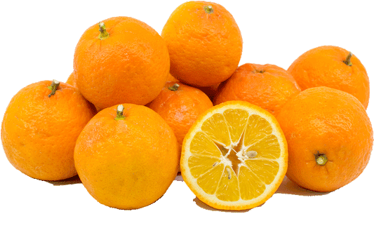 Seville Oranges - 5 Pounds